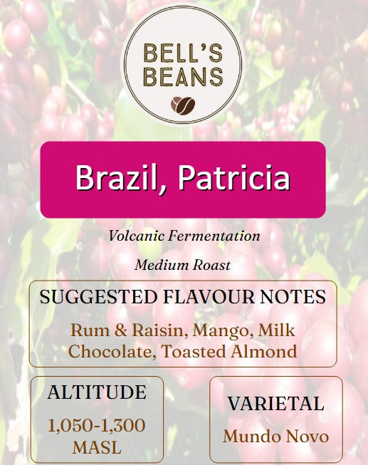 A product information card for Bell's Beans Brazil, Patricia coffee. The card features a circular logo at the top, a magenta banner with the variety name, and text detailing its volcanic fermentation, medium roast, suggested flavor notes (rum, raisin, mango, milk, chocolate, toasted almond), altitude (1,050-1,300 MASL), and varietal (Mundo Novo) against a faded background of coffee cherries.