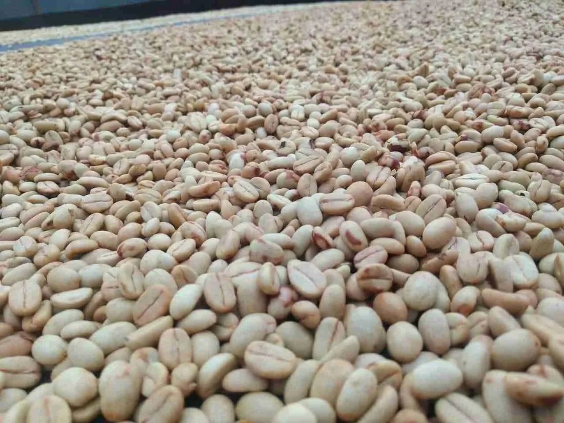 What Is “Specialty Coffee”?