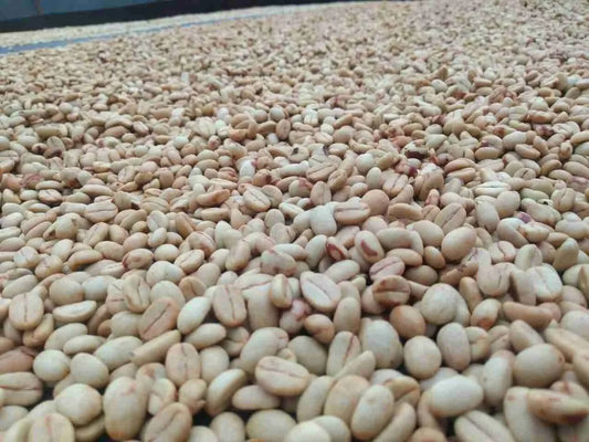 What Is “Specialty Coffee”?