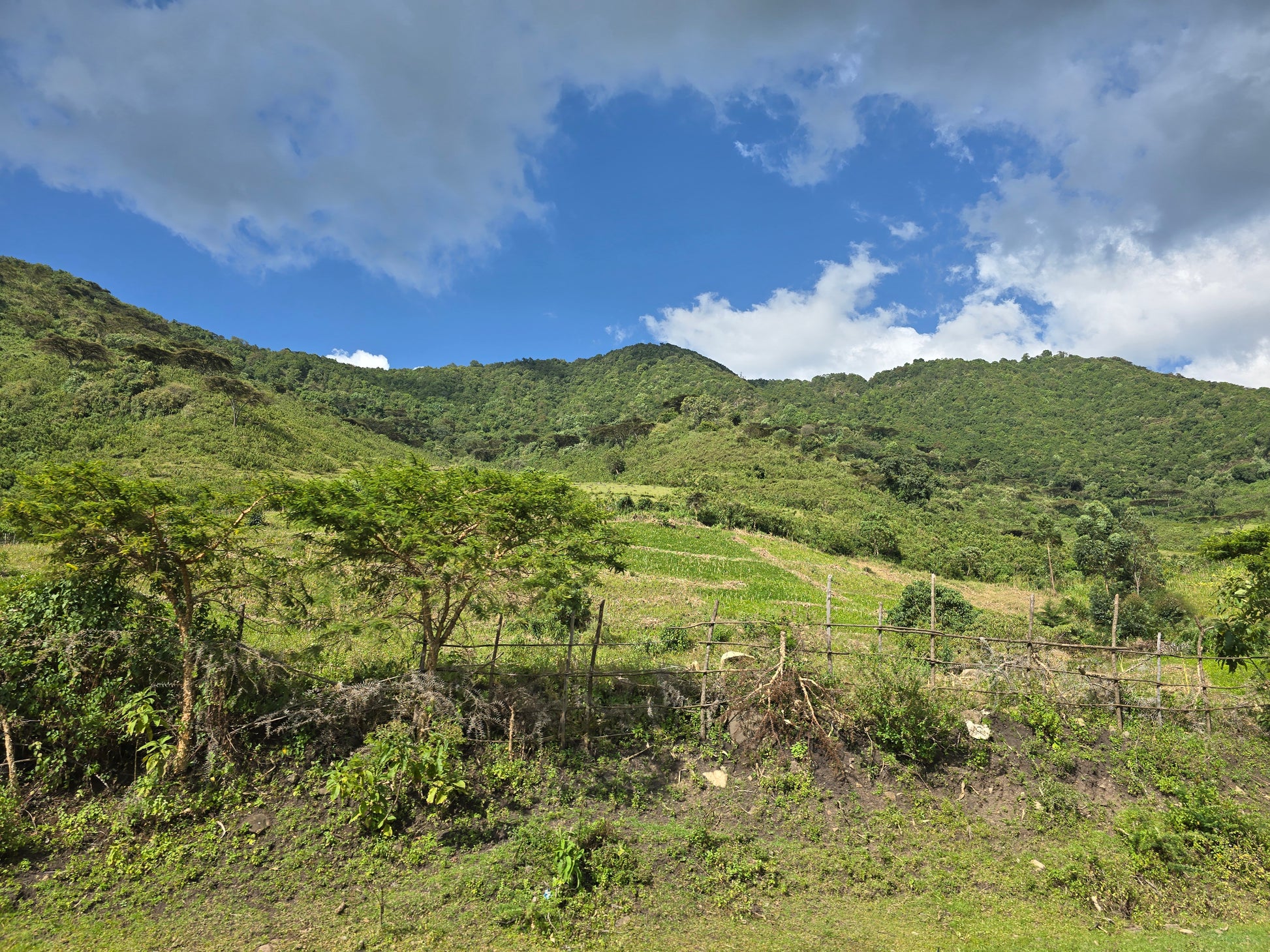 Lush green valley with mountains under a blue sky