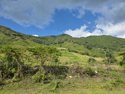 Lush green valley with mountains under a blue sky