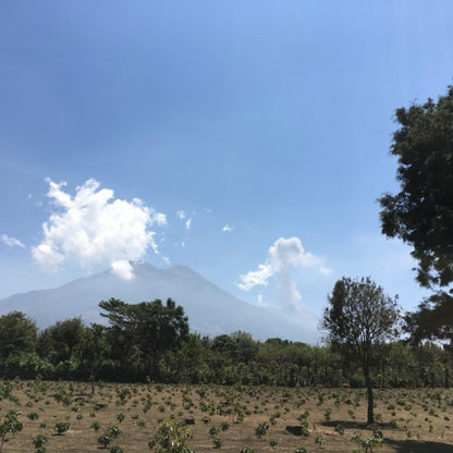 Volcano with trees and clear sky