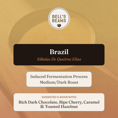 Brazil, Nikolas De Queiroz Elias