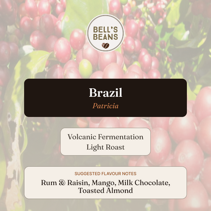 A digital graphic card for Bell's Beans Brazil Patricia coffee, featuring a background of red coffee cherries. The graphic includes the brand logo 'Bell's Beans', a dark brown label for 'Brazil', and two white rounded rectangles detailing the 'Volcanic Fermentation Light Roast' and 'Suggested Flavour Notes' (Rum & Raisin, Mango, Milk Chocolate, Toasted Almond).