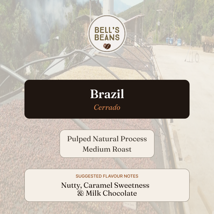 Bell's Beans coffee label with Brazil Cerrado information on a blurred background