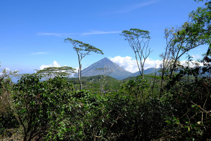 Village with thatched-roof houses surrounded by lush greenery and mountains in the background