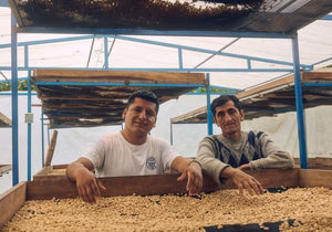 Two men standing buy some drying tables covered in coffee beans in a workshop setting