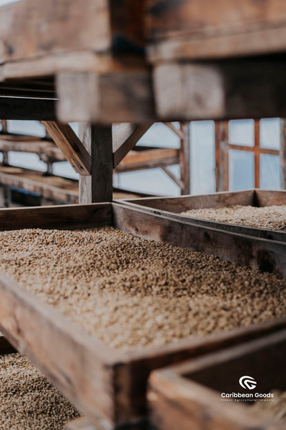 Wooden crib filled with coffee beans in a drying room