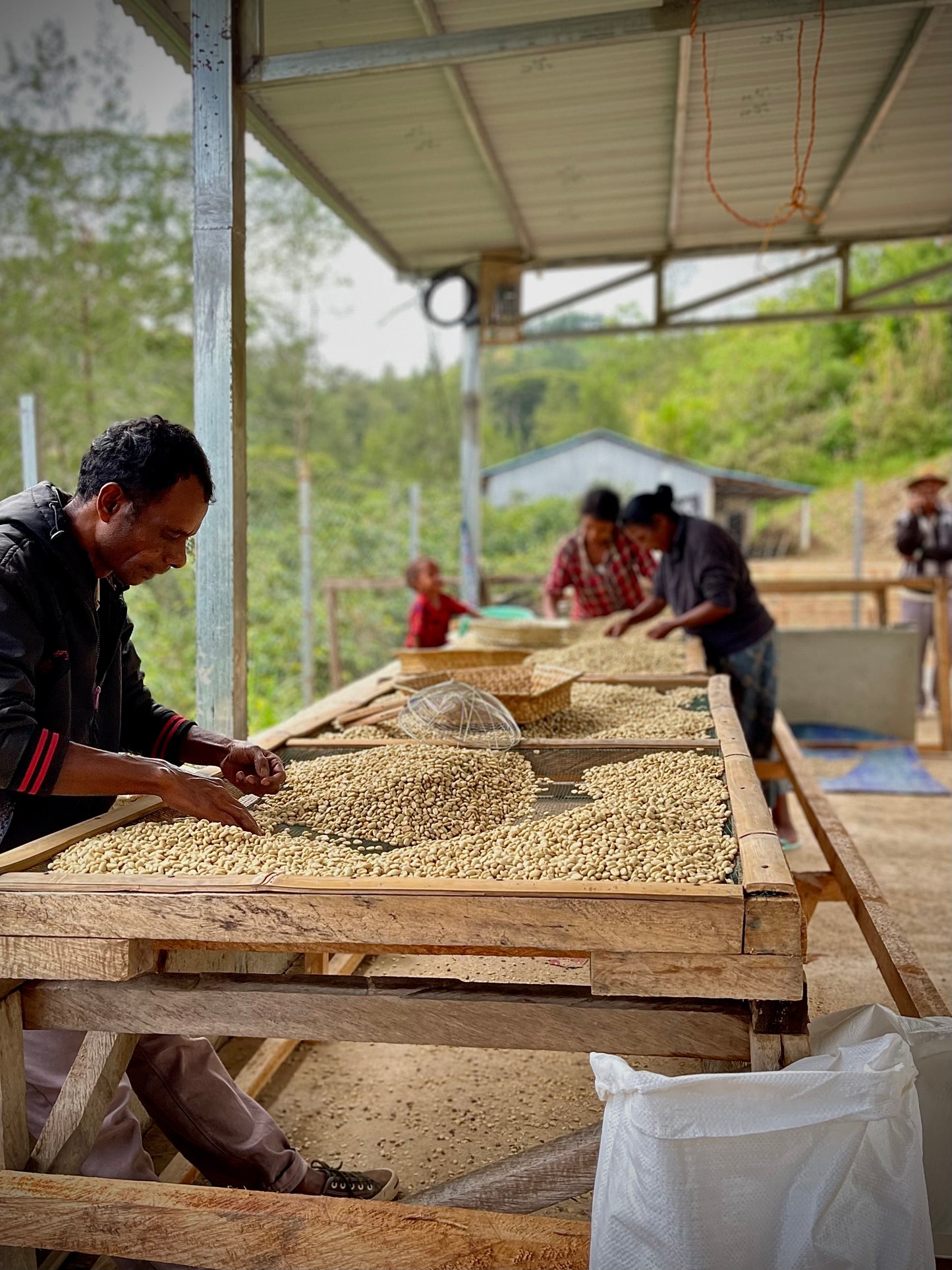People working with coffee beans on a wooden table outdoors