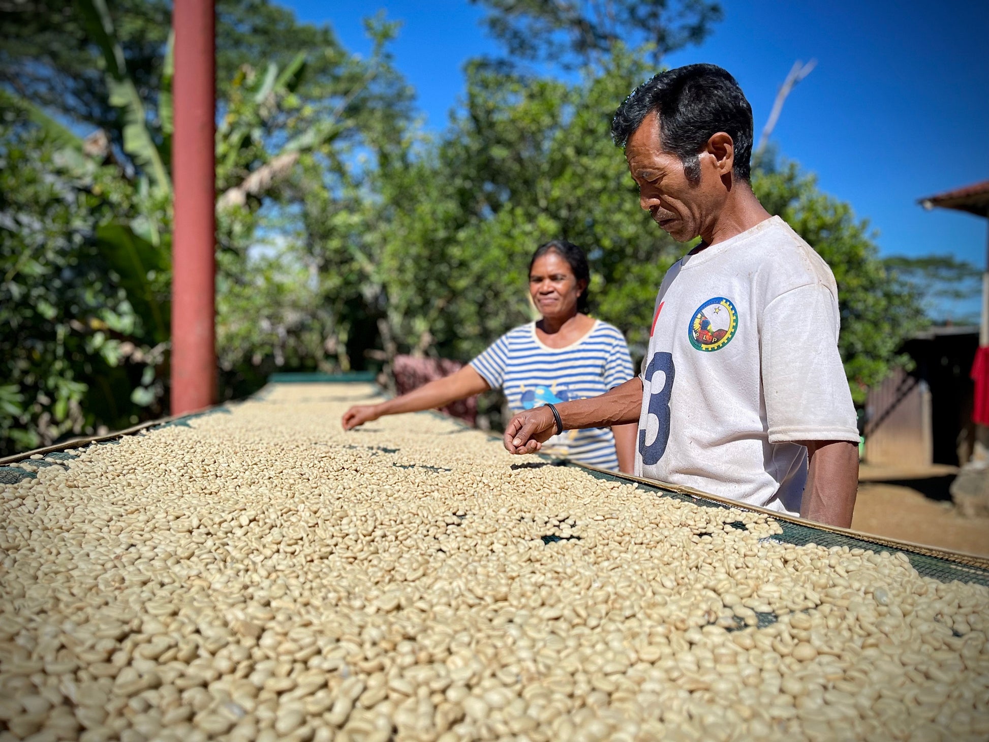 Two people standing next to a large pile of coffee beans outdoors.