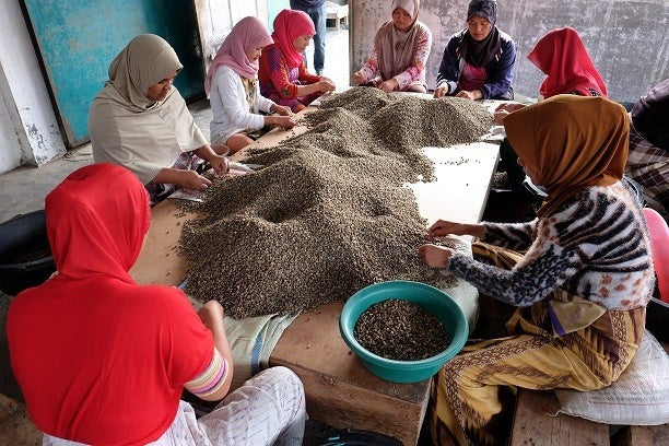 Group of women sorting coffee beans in a workshop setting.