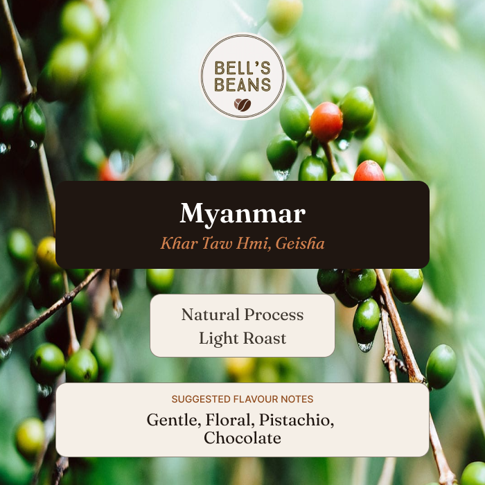 Myanmar, Khar Taw Hmi, Geisha
