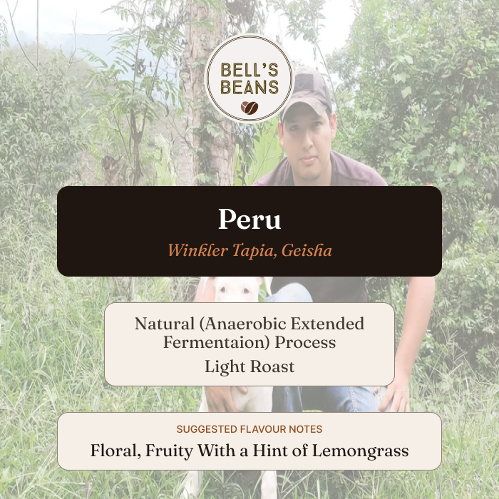 A coffee product card for Bell's Beans featuring a man outdoors in a forest setting with a dog, overlaid with text identifying the coffee as Peru Winkler Tapia, Geisha, Light Roast.