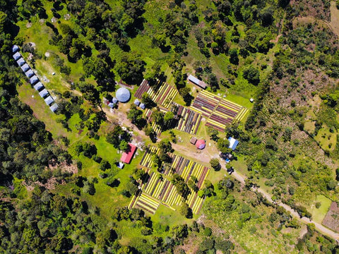 Aerial view of a campsite with tents and structures surrounded by greenery