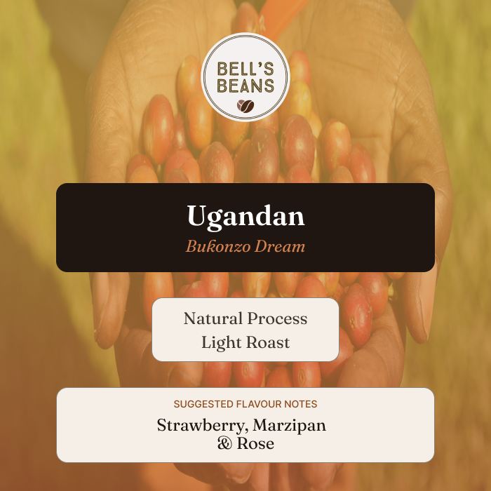 Bell's Beans Ugandan Bufonzo Dream coffee packaging with hands holding coffee beans.