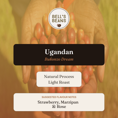 Bell's Beans Ugandan Bufonzo Dream coffee packaging with hands holding coffee beans.