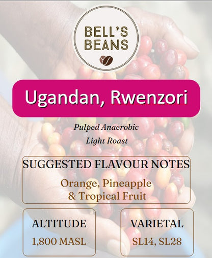 Ugandan, Rwenzori