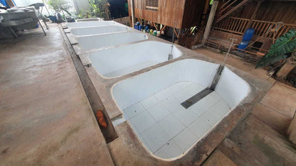 Row of concrete washing tubs set in the floor in a rustic setting with wooden walls and tools.