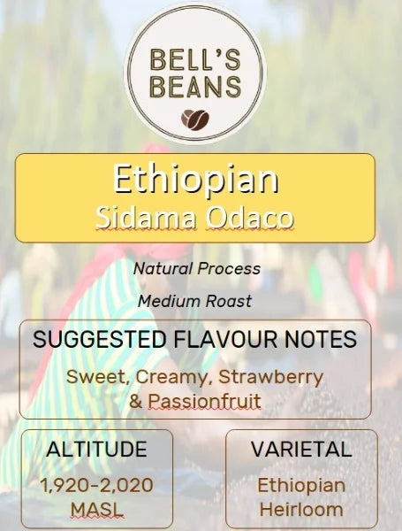 Bell's Beans Ethiopian Sidama Odaco coffee package with flavor notes and roast details.
