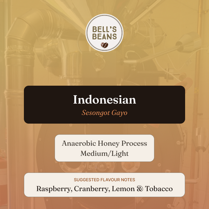 Indonesian, Sesongot Gayo, Anaerobic Honey