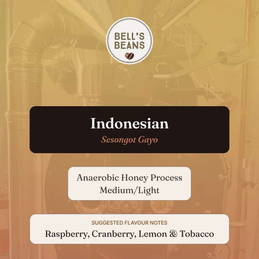 Indonesian, Sesongot Gayo, Anaerobic Honey