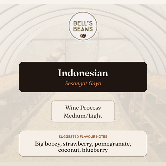 Indonesian, Sesongot Gayo, Winey