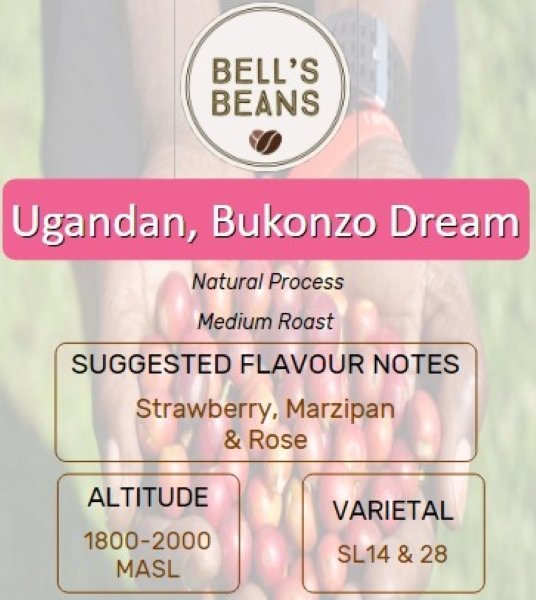Ugandan, Bukonzo Dream