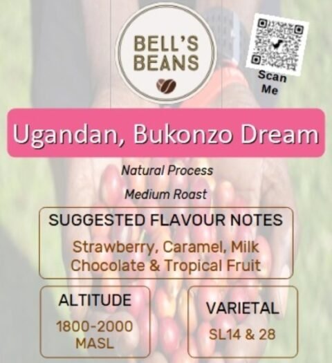 Ugandan, Bukonzo Dream