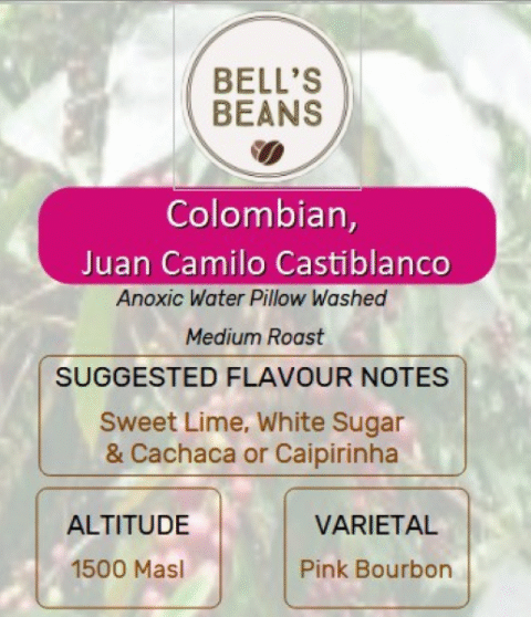 Colombian, Juan Camilo Castiblanco, Anoxic Water Pillow, Pink Bourbon