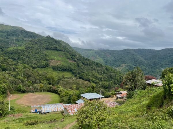 Peru, Finca Artemira - Image 7