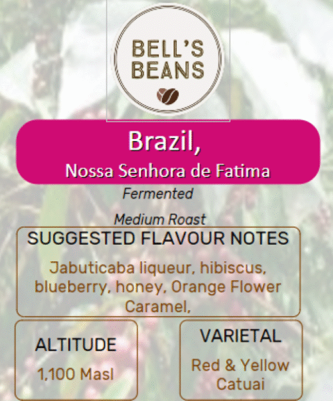 Brazil, Nossa Senhora de Fatima