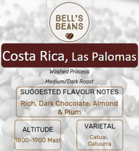 Costa Rica, Las Palomas