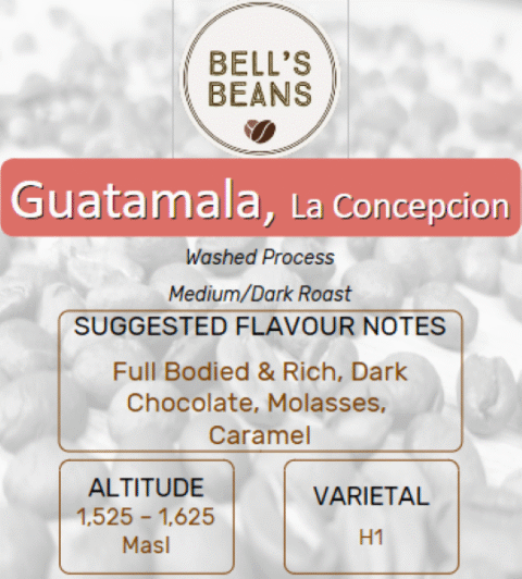 Guatemalan, La Concepción. Medium/Dark