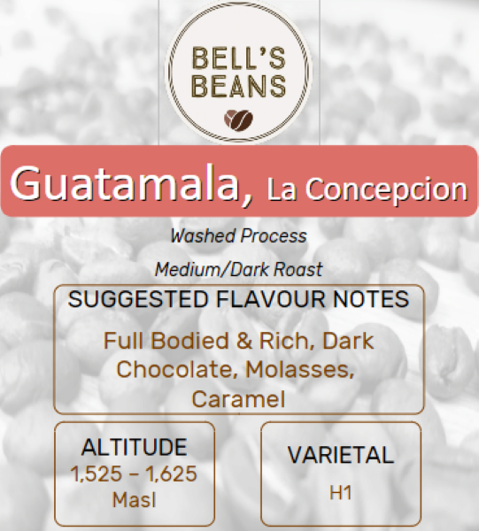 Guatemalan, La Concepción. Medium/Dark