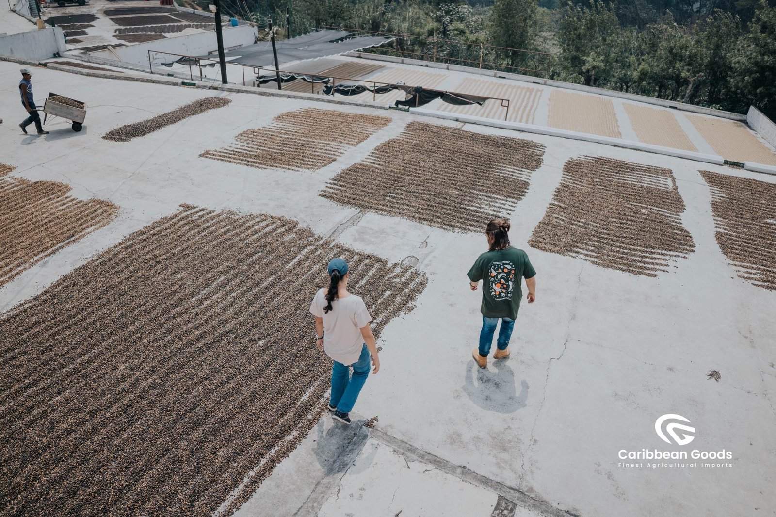 Guatemalan, La Concepción. Medium/Dark - Image 7