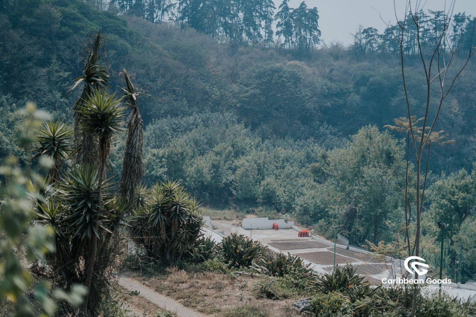 Guatemalan, La Concepción. Medium/Dark - Image 4
