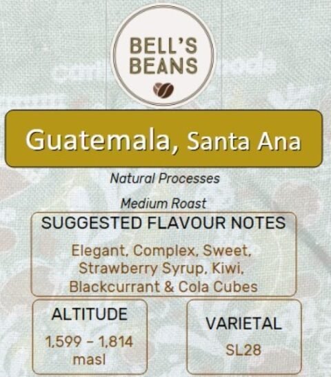 Guatemalan, Santa Ana