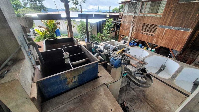 Peru, Llave de Oro - Image 3